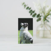 Australische visitekaartjes van Shepherd (Staand voorkant)