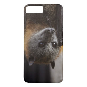 Australische vleermuis 	iPhone 8 plus / 7 plus hoesje