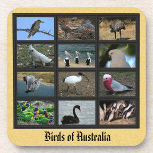 Australische vogels bier onderzetter