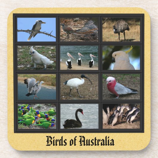 Australische vogels bier onderzetter (Voorkant)