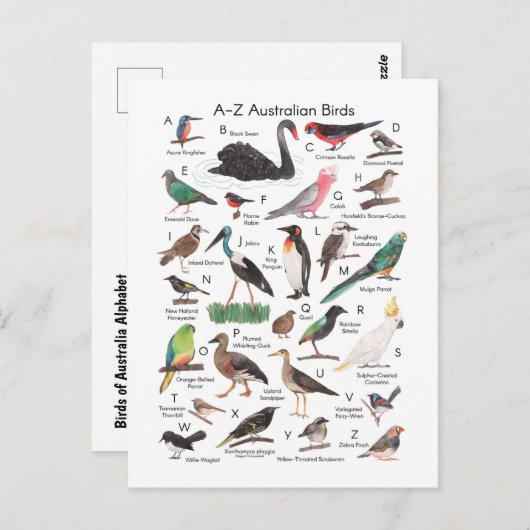 Australische vogels briefkaart (Voorkant / Achterkant)