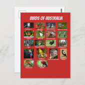 Australische vogels briefkaart (Voorkant / Achterkant)