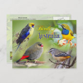 Australische vogels briefkaart (Voorkant / Achterkant)