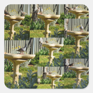 Australische vogels op een vogelpest, stickers