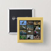 Australische vogels vierkante button 5,1 cm (Voorkant /achterkant)