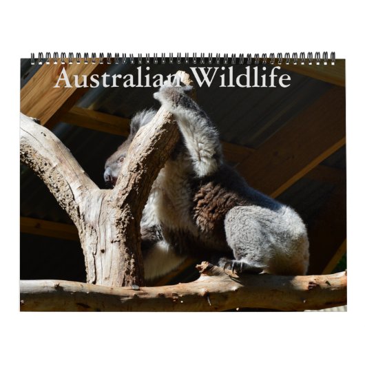 Australische vogels, wilde dieren, kalender (Hoes)