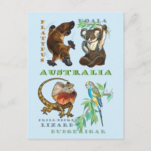 Australische wilde dieren briefkaart (Voorkant)