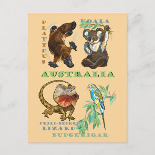 Australische wilde dieren briefkaart