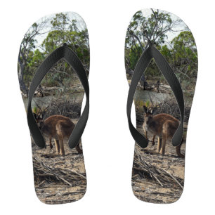 Australische wilde Struik Kangaroo Teenslippers