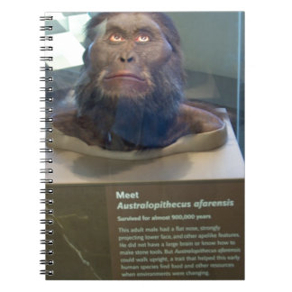 Australopithecus afarensis; museumeexpositie. notitieboek