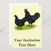 Australorp Black Chickens Kaart (Voorkant / Achterkant)