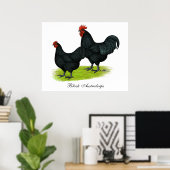 Australorp Black Chickens Poster (Thuiskantoor)