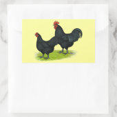 Australorp Black Chickens Rechthoekige Sticker (Tas)