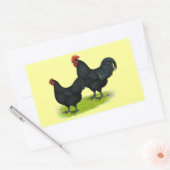 Australorp Black Chickens Rechthoekige Sticker (Envelop)