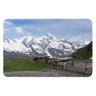 Austrian Alps douane magnet Magneet