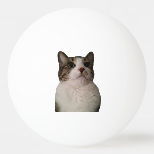 Authentic Cat Ball (Voorkant)