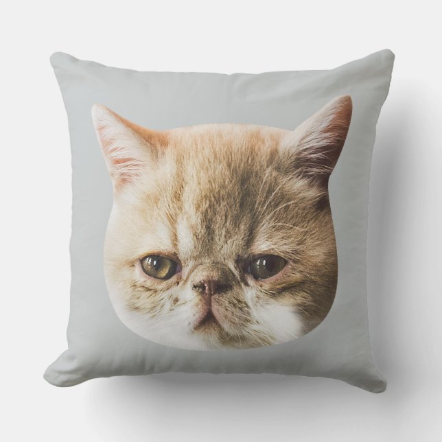 Authentic Chippy Throw Cushion Kussen (Voorkant)