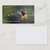 Autobus. Carte - araignée sur le Web (Devant / Derrière)