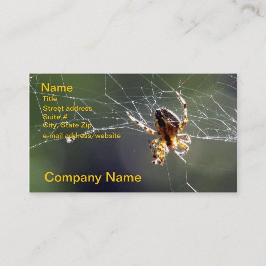 Autobus. Carte - araignée sur le Web (Devant)