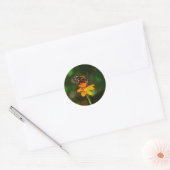 Autocollant (Enveloppe)