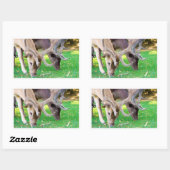 autocollant (Feuille)