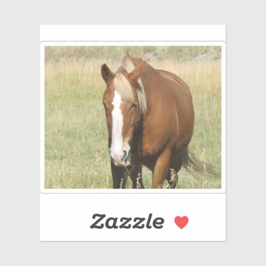 Autocollant (Feuille)