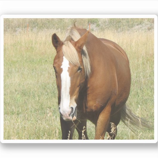 Autocollant (Devant)
