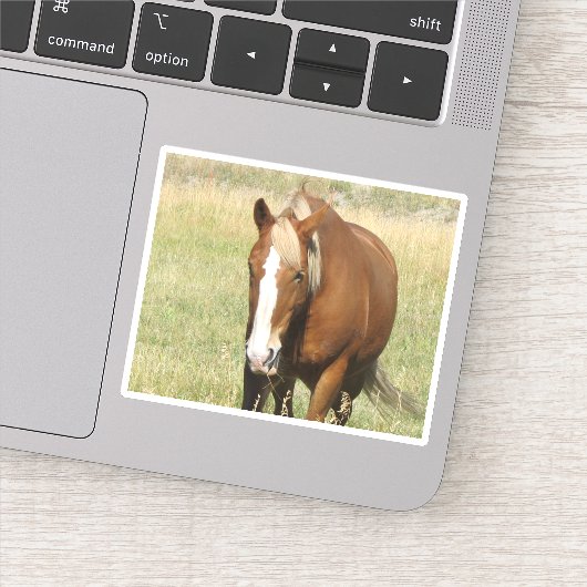 Autocollant (Détail)