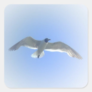 Autocollant 2 de mouette en vol
