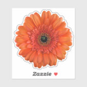Autocollant à biscuits Orange Gerbera Daisy (Feuille)