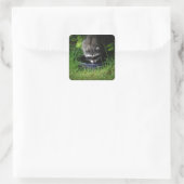 Autocollant à boisson Raccoon (Sac)