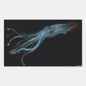 Autocollant à calmar hypothétique (Devant)