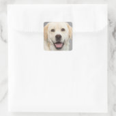 Autocollant à Chien Chien à Chien à Chien du Labra (Sac)