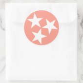 Autocollant à drapeau d'état du Tennessee trois ét (Sac)