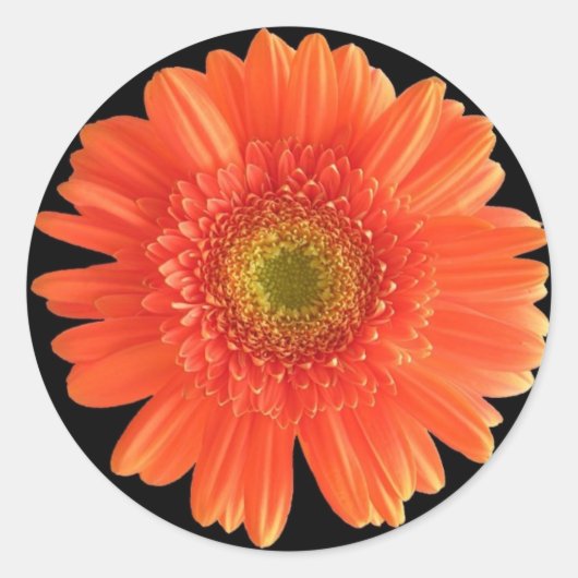 Autocollant à fleurs (Devant)
