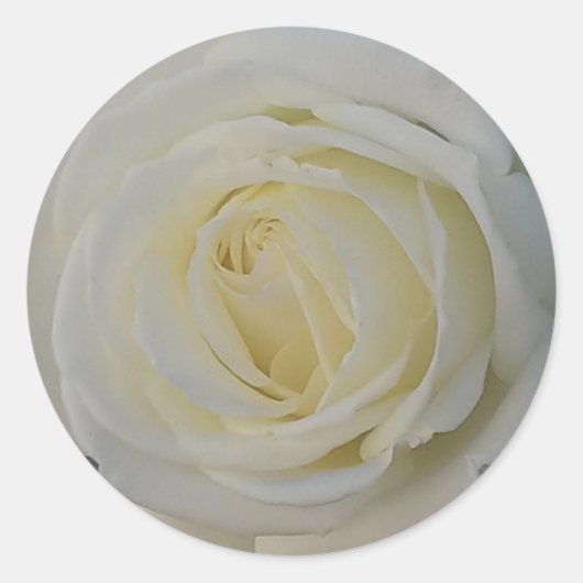 autocollant à fleurs blanches (Devant)