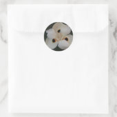 autocollant à fleurs blanches (Sac)