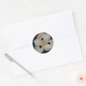 autocollant à fleurs blanches (Enveloppe)