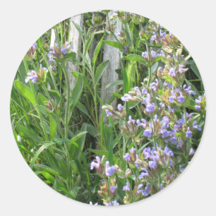 Autocollant à herbe bleu à fleurs