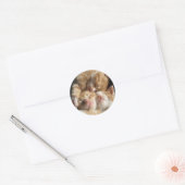 Autocollant à mordant Kitten (Enveloppe)