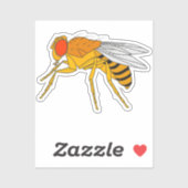 Autocollant à mouche à fruits (Feuille)