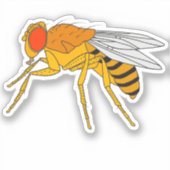 Autocollant à mouche à fruits (Recto)