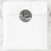 Autocollant à oies canadiennes (Sac)