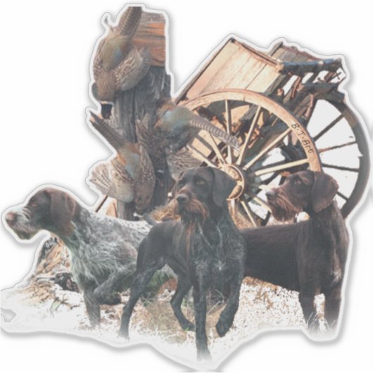 Autocollant À poils durs Pointer allemand (Devant)