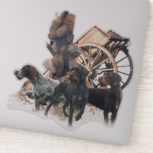 Autocollant À poils durs Pointer allemand (Détail)