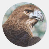 Autocollant à queue rouge (Devant)