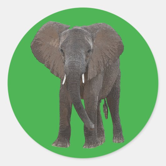 Autocollant africain éléphant (Devant)