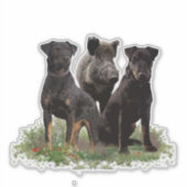 Autocollant allemand Jagdterrier (Devant)