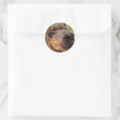 Autocollant Alpaca (Sac)