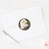 Autocollant américain d'aigle chauve (Enveloppe)